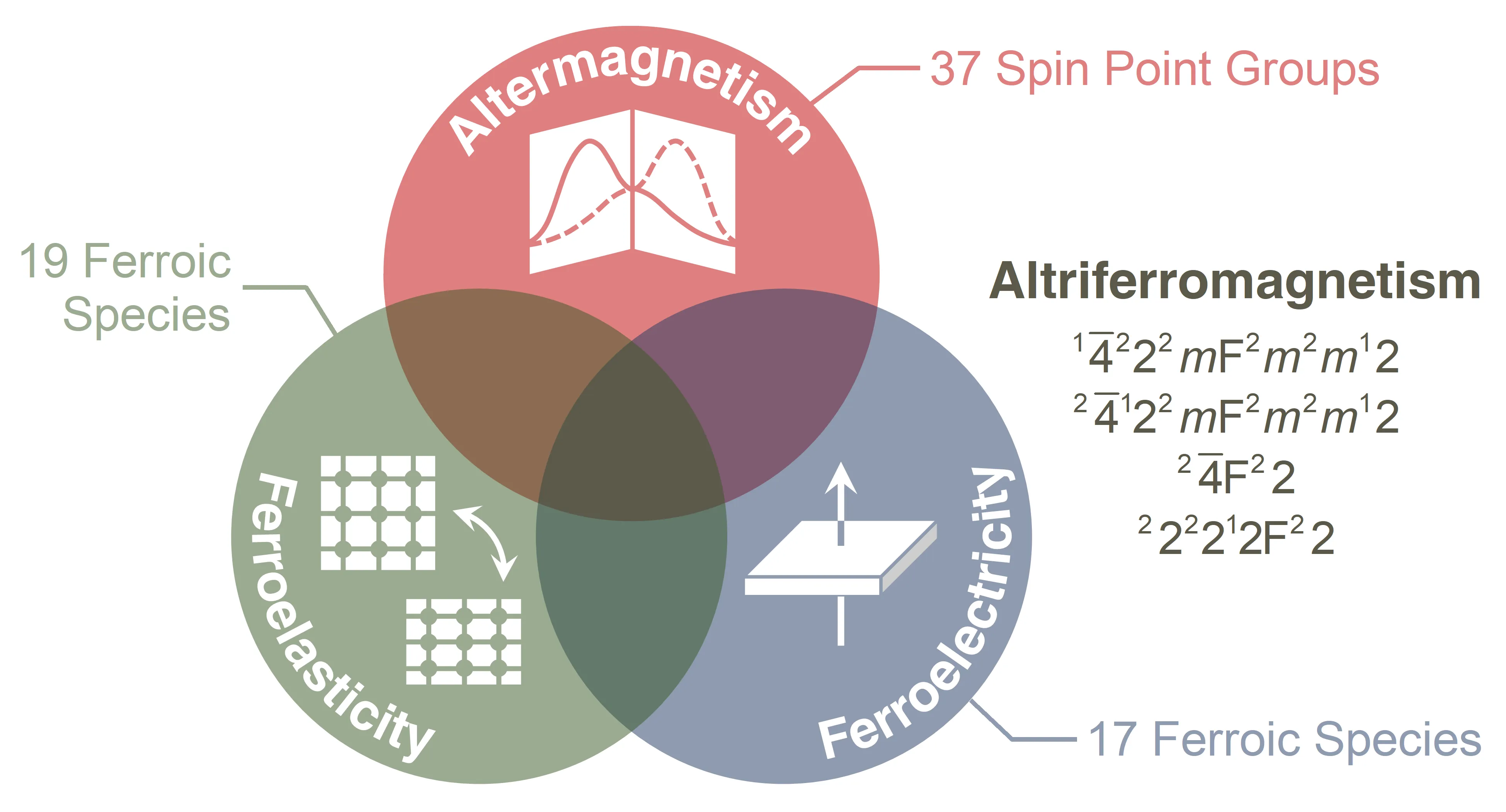 Symmetry-Driven Multiferroic Altermagnetism in Two-Dimensional Materials